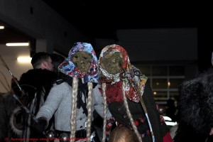 1800436 907187415972135 8503419672685398443 n